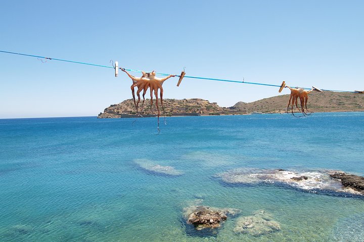 Fábrica PRIVADA de Spinalonga e Agios Nikolaos e Azeite CRETE