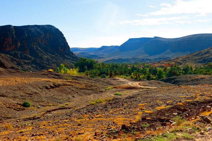 Dagtocht vanuit Ouarzazate: Teloute, Ait Ben Haddou & Oasis Fint inclusief lunch
