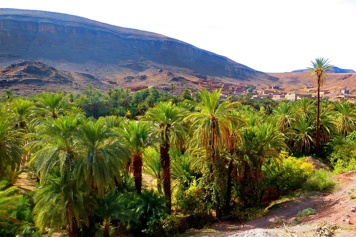 Dagtocht vanuit Ouarzazate: Teloute, Ait Ben Haddou & Oasis Fint inclusief lunch