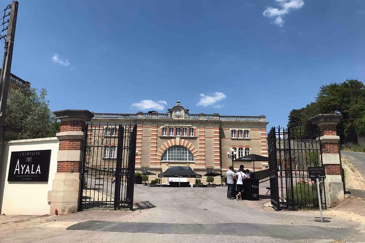 Must-see 3h30 fra Epernay (Privat halvdags Champagne Tour)
