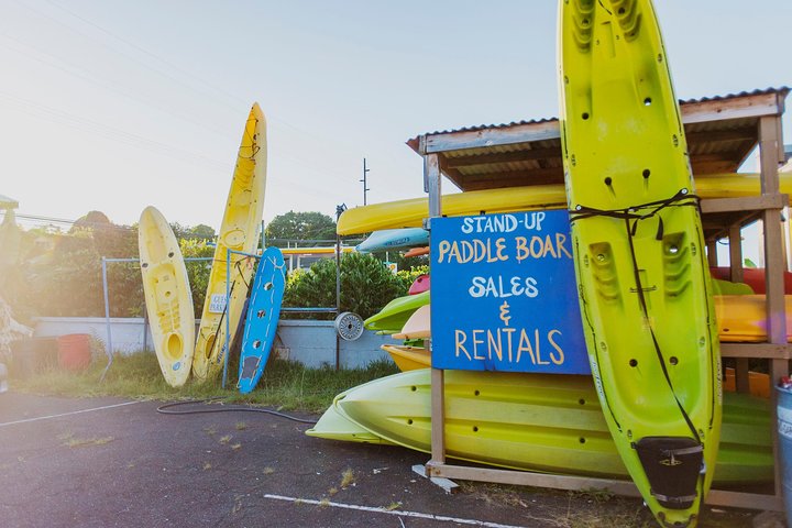 Big Island : Capitaine Cook Snorkel sur un catamaran à moteur avec déjeuner