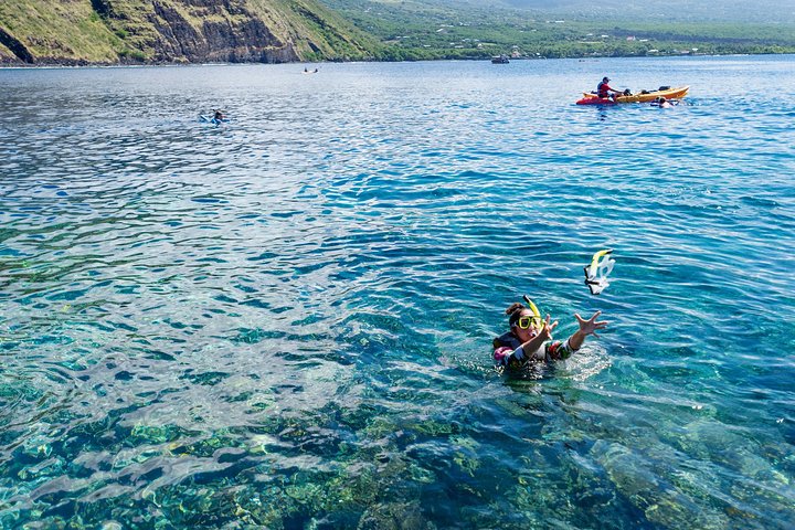 Big Island : Capitaine Cook Snorkel sur un catamaran à moteur avec déjeuner