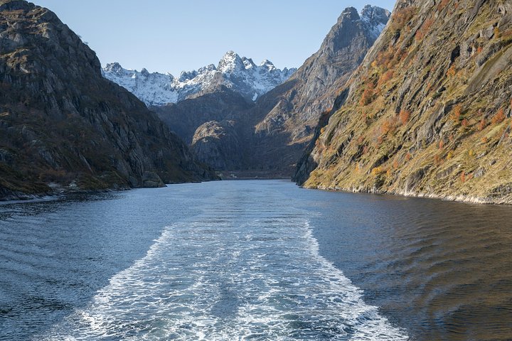 Lofoten-Insel: Stille Trollfjord-Kreuzfahrt ab Svolvær
