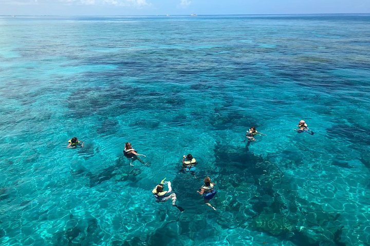 Key West Reef morgen snorkling med frokost og mimosaer
