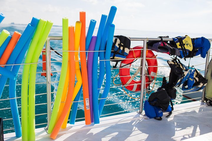 Key West Reef morgen snorkling med frokost og mimosaer
