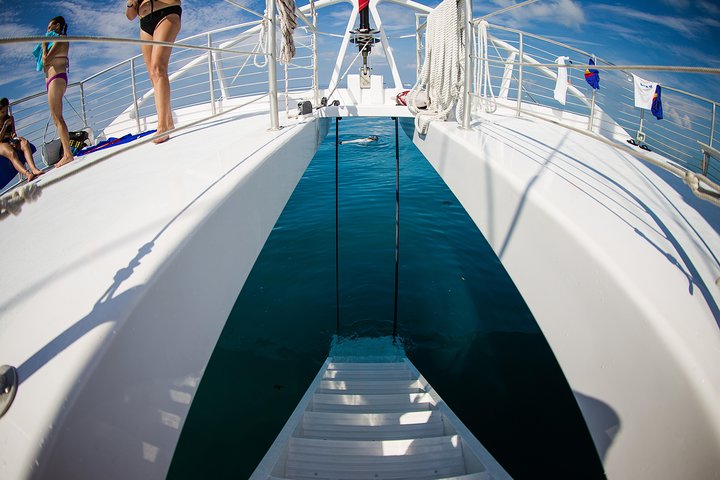 Key West Reef morgen snorkling med frokost og mimosaer