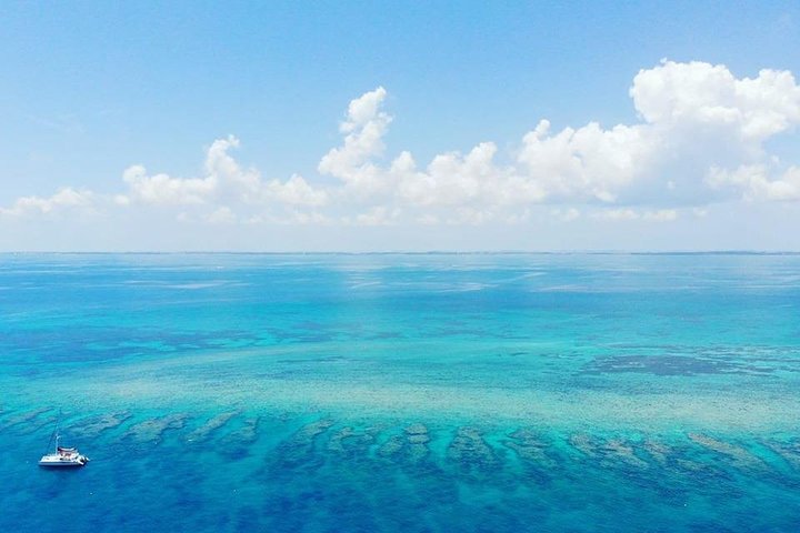 Key West Reef morgen snorkling med frokost og mimosaer