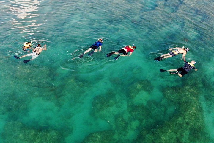 Key West Reef morgen snorkling med frokost og mimosaer