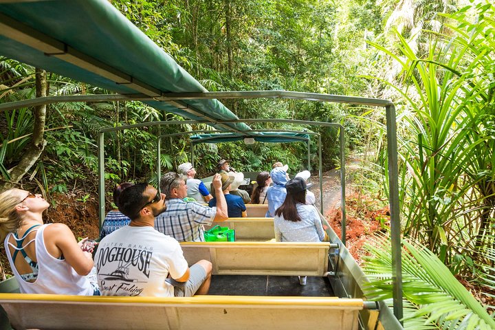 Gita di un giorno sulla Kuranda Scenic Railway da Cairns