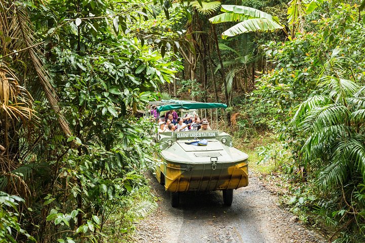 Gita di un giorno sulla Kuranda Scenic Railway da Cairns
