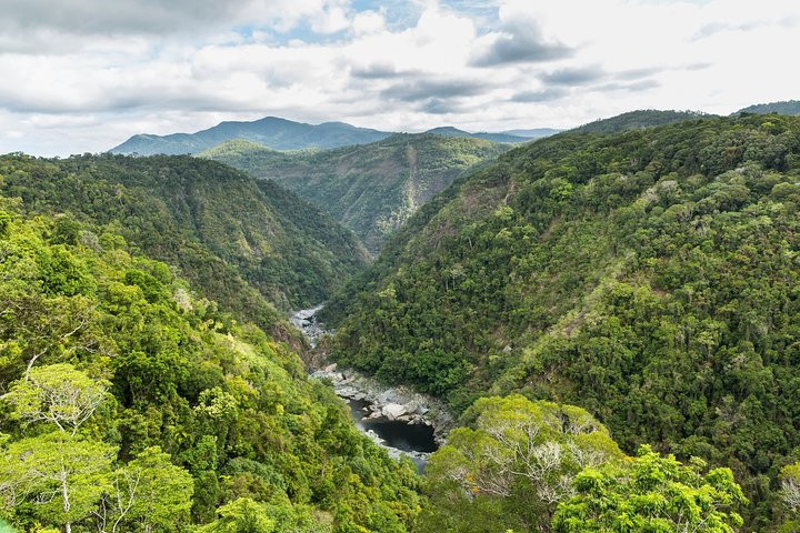 Gita di un giorno sulla Kuranda Scenic Railway da Cairns