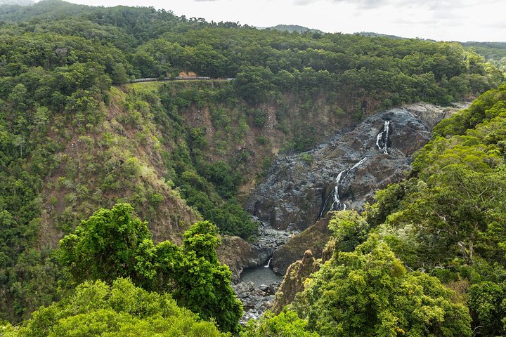 Gita di un giorno sulla Kuranda Scenic Railway da Cairns
