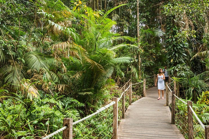 Gita di un giorno sulla Kuranda Scenic Railway da Cairns