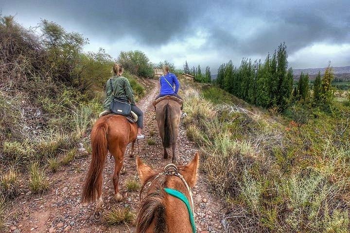 Paseo a caballo por viñedos seguido de almuerzo gourmet