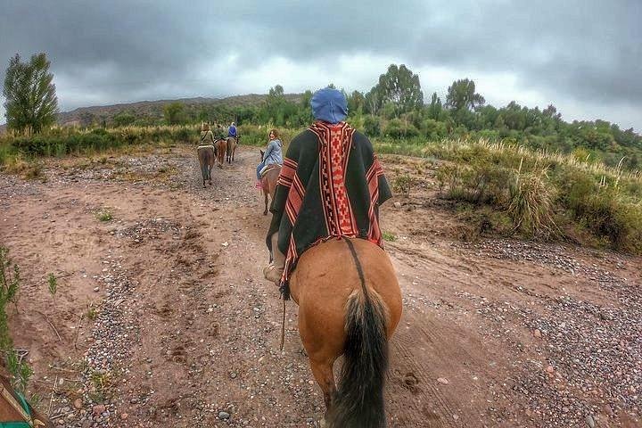 Paseo a caballo por viñedos seguido de almuerzo gourmet