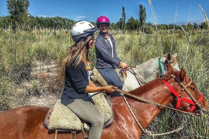 Paseo a caballo por viñedos seguido de almuerzo gourmet