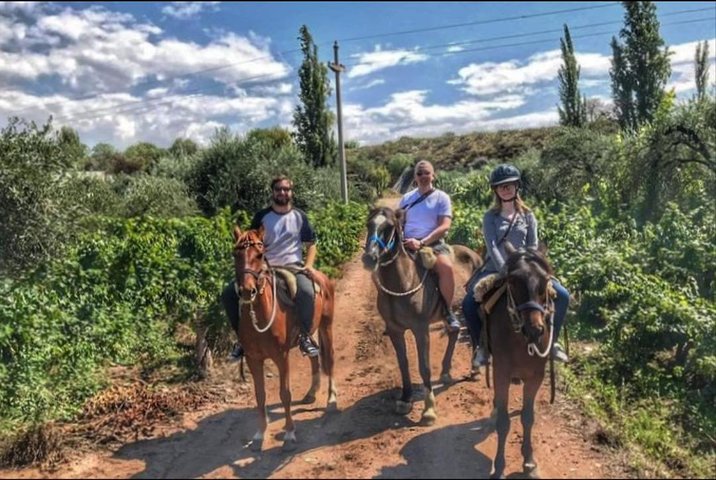 Paseo a caballo por viñedos seguido de almuerzo gourmet