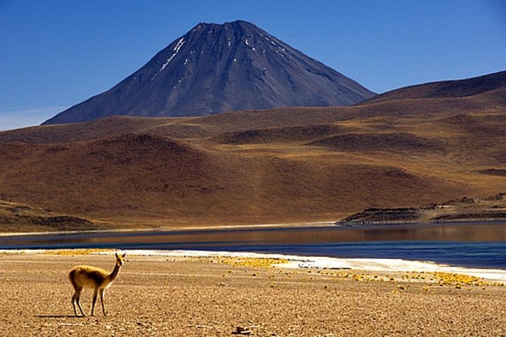 4 - Day Atacama Desert Experience med hotell, rundturer och måltider