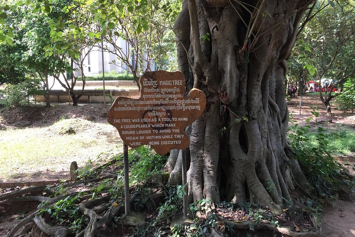 Medio día privado al campo de exterminio y al museo genocida S21 en Phnom Penh