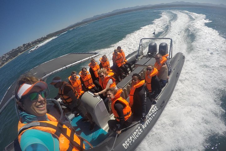 1,5-timers sejlbådtur i Plettenberg Bay
