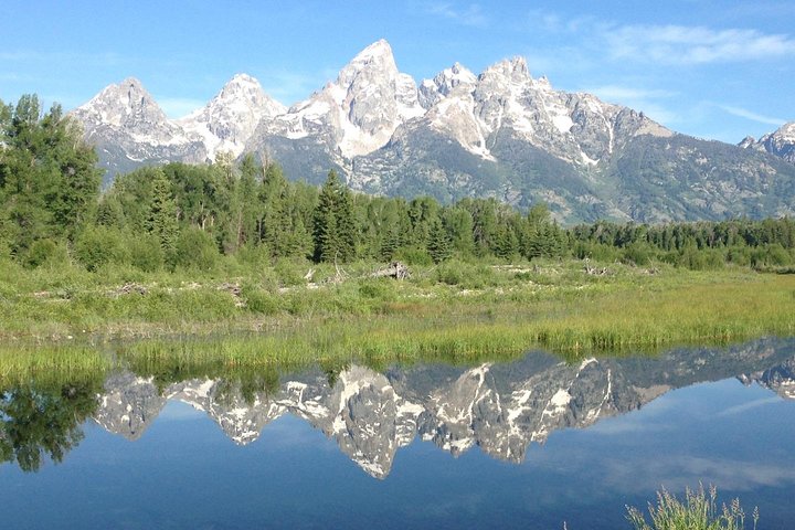 Parque Nacional Grand Teton - excursão guiada de dia inteiro saindo de Jackson Hole