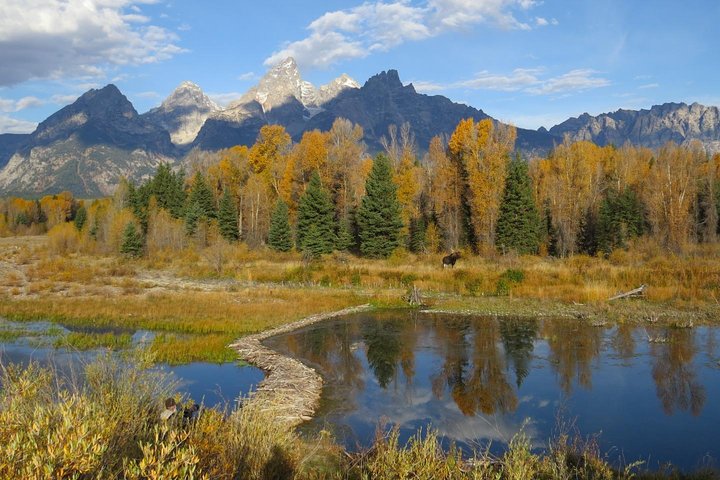 Grand Teton National Park - Sunset Guided Tour fra Jackson Hole