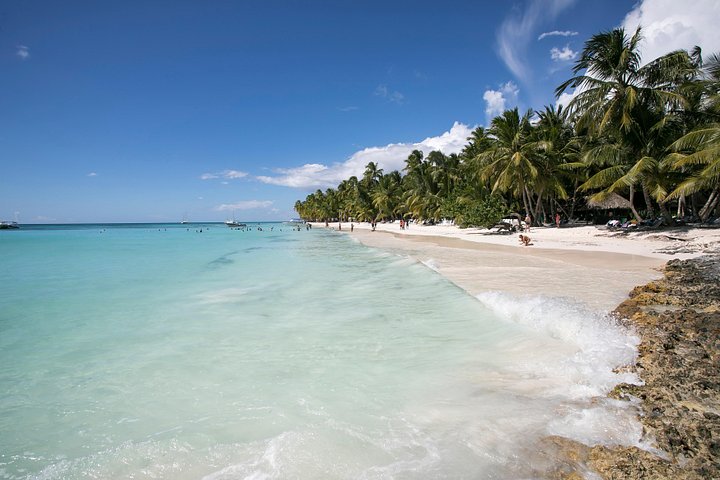 Saona Island Day Trip From Punta Cana with Lunch and Open Bar