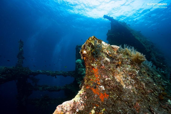 5 immersioni divertenti a Tulamben (per subacquei certificati) - Scopri siti di immersione famosi