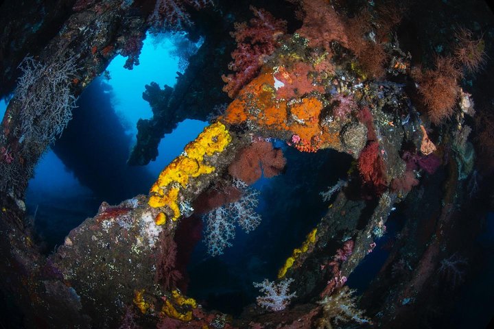 5 immersioni divertenti a Tulamben (per subacquei certificati) - Scopri siti di immersione famosi