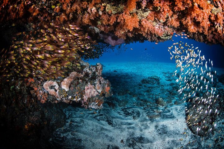 5 immersioni divertenti a Tulamben (per subacquei certificati) - Scopri siti di immersione famosi