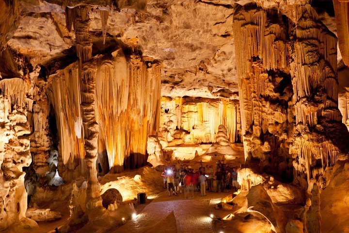 Safari de vida salvaje en la ruta del jardín - 4 días