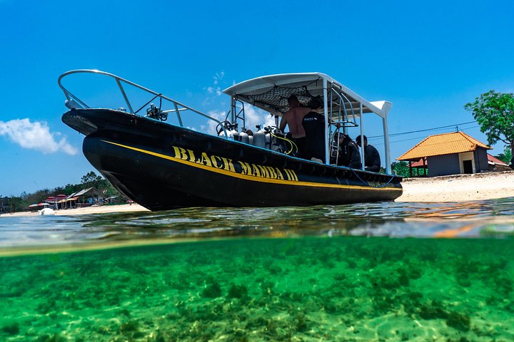 5 Fun Dives in Pemuteran (for certified divers) - Exploration in Menjangan Park