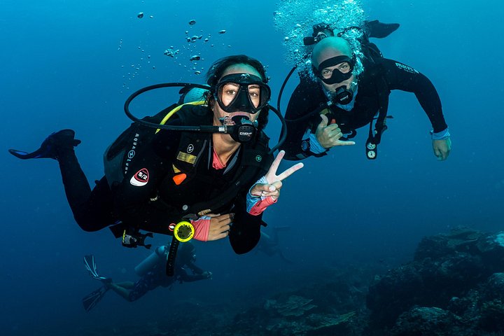 5 Fun Dives in Pemuteran (for certified divers) - Exploration in Menjangan Park