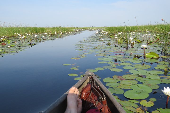Tour de 2 noches por el Delta del Okavango Mokoro WildCamping, todo incluido