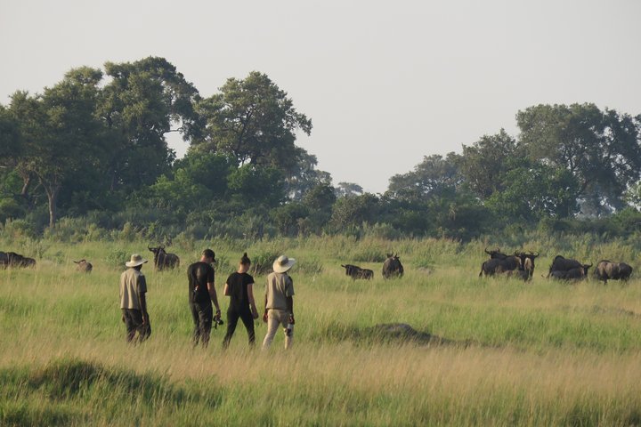 Tour de 2 noches por el Delta del Okavango Mokoro WildCamping, todo incluido
