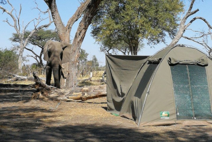 3-daagse Desert Trail: Central Kalahari Game Reserve - WildCamping Safari