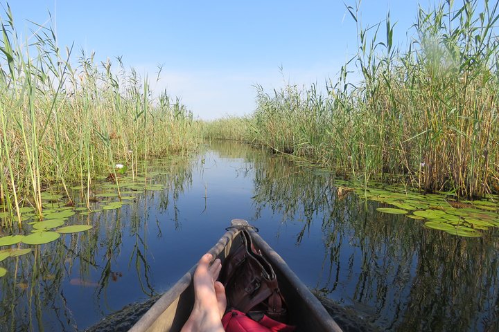 Tour de 2 noches por el Delta del Okavango Mokoro WildCamping, todo incluido