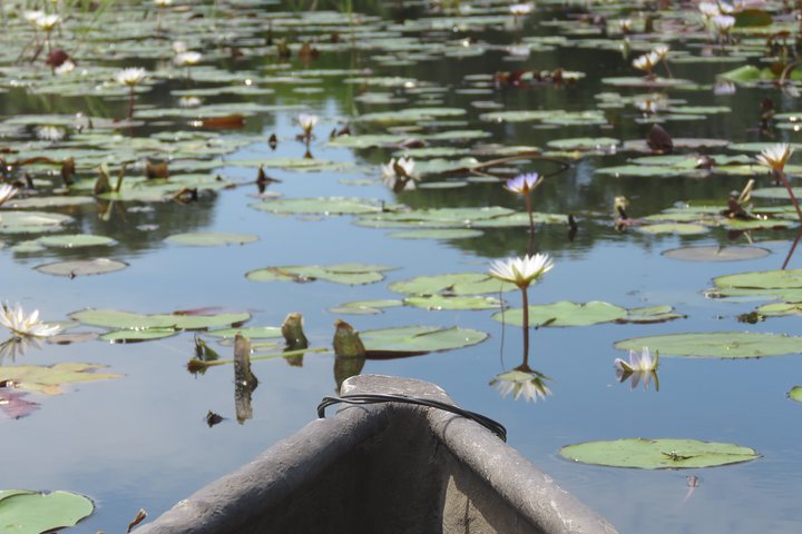 Tour de 2 noches por el Delta del Okavango Mokoro WildCamping, todo incluido