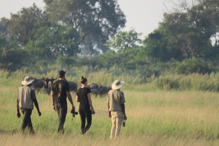 Tour de 2 noches por el Delta del Okavango Mokoro WildCamping, todo incluido