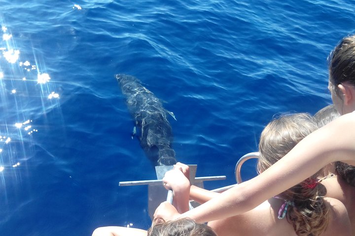 Excursão em família ao sul de La Gomera
