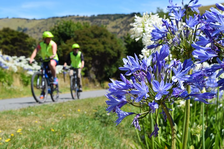 Akaroa Explorer- Guidet elcykeltur i Akaroa