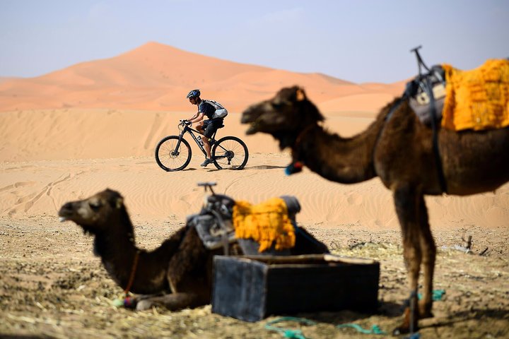 Merzouga: Übernachtung im Luxus-Wüstencamp mit Kamelritt, Mahlzeiten und Sandboarding