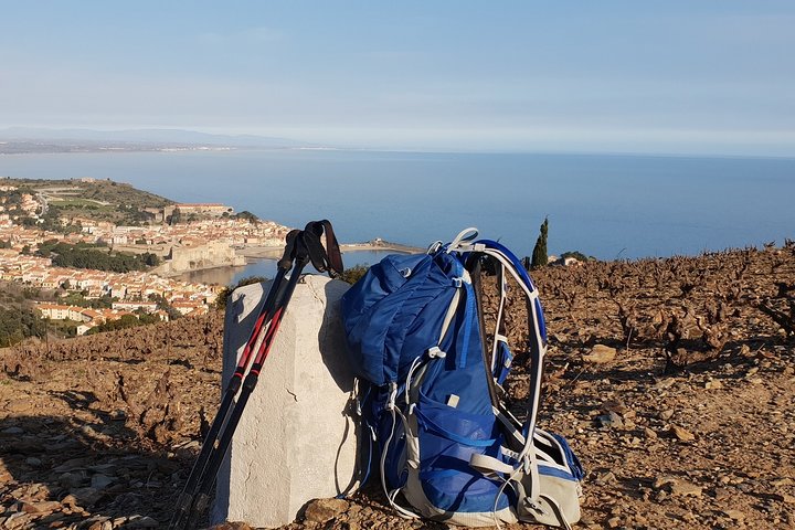 Vandrer i hjertet av de hemmelige vingårdene rundt Collioure, smaker