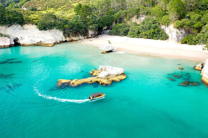 2 timers bådtur til Cathedral Cove og vulkansk kyst