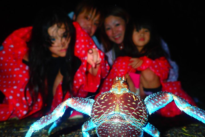 Okinawa Miyako Sternennacht Dschungel- und Wildtiertour mit Abholung