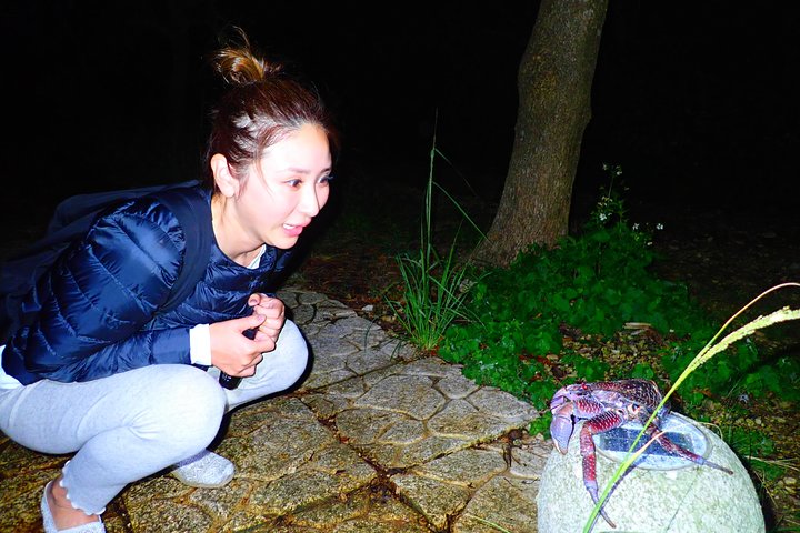 Okinawa Miyako Sternennacht Dschungel- und Wildtiertour mit Abholung