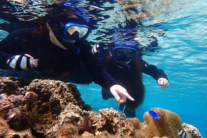 Okinawa Miyako Snorkel de tortuga marina de día completo y SUP o canoa