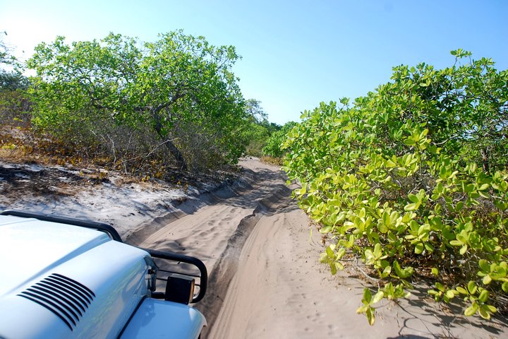 Excursión de medio día a las dunas de arena de Lençóis Maranhenses con puesta de sol