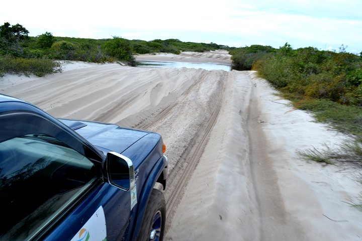 Excursión de medio día a las dunas de arena de Lençóis Maranhenses con puesta de sol