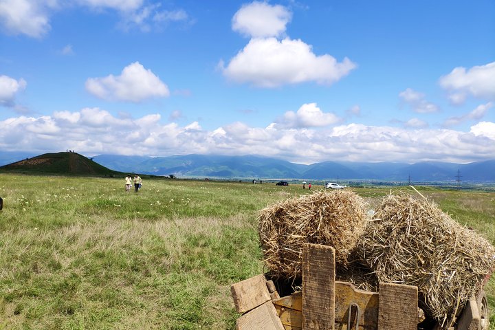 Visita ai campi di lavanda e alla demo sull'estrazione dell'olio di lavanda